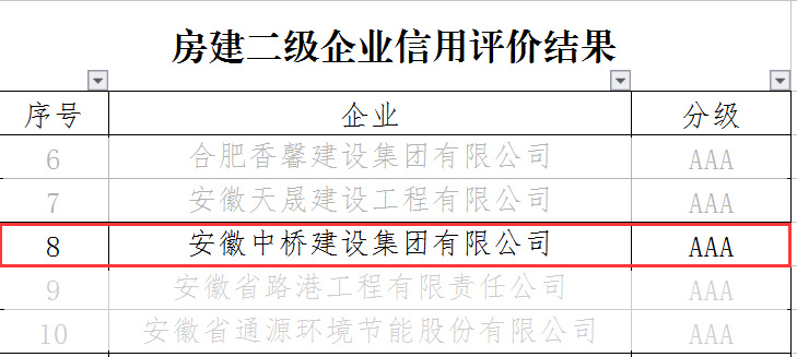 喜訊｜公司榮獲2021年（第二次）合肥市施工企業(yè)信用綜合評價雙項AAA信用等級(圖3)